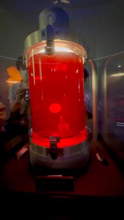 昭和１００年１０月１０日　イケちゃんち万博ツアーの記事動画