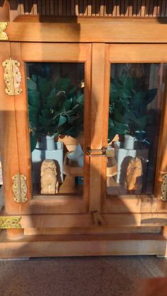 2月19日木曜日の記事動画