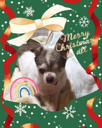 スモちゃんのお願いがママに届いた日♡の記事動画