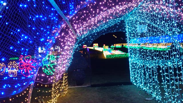 《光の森プロジェクト2024》開催2024/11/23〜2025/1/5の記事動画