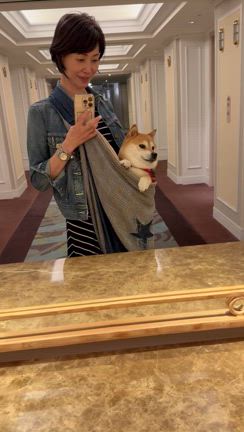 ひなこと一緒にグランド日航東京台場への記事動画