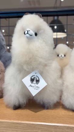 アルパカちゃんのぬいぐるみ発見の記事動画