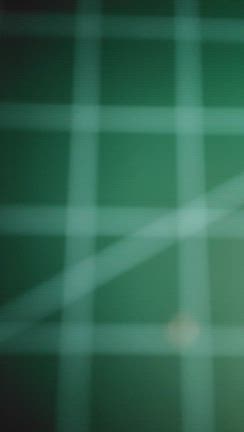 2025 8 めだか。屋外植物の様子。男のなす料理。の記事動画