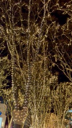 光のページェントとクリスマスマーケットの記事動画