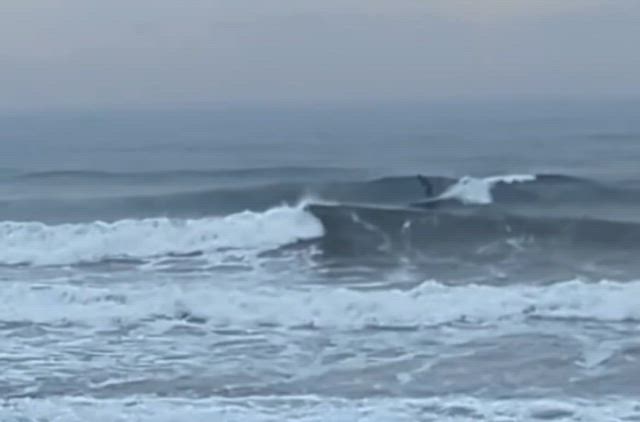 今朝の湘南の波、今朝のミッドレングスライド！の記事動画