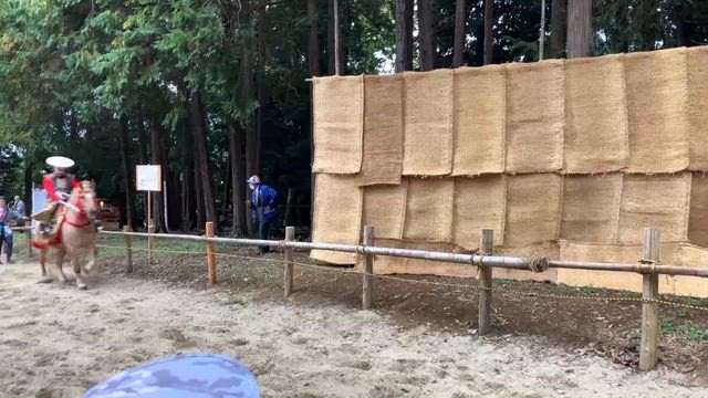 今日のガーデンの記事動画