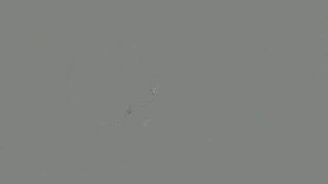 ベビーカステラの攻防♪の記事動画