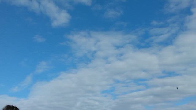 福岡県築上郡築上町『メタセの杜』の紅葉と『築城基地航空祭』ブルーインパルス曲芸飛行を見てきたよ③の記事動画