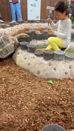 いきものミュージアムにも！⭐️の記事動画