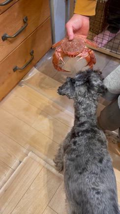 賃貸不動産経営管理士試験終了！の記事動画