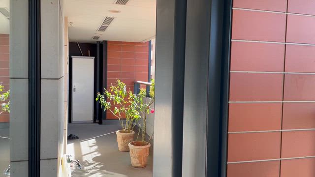 なんて爽やかな朝！の記事動画