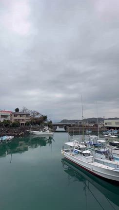 【高知旅】マツコの知らない世界で気になっていた珍スポット＆ラストは日曜市へ！の記事動画