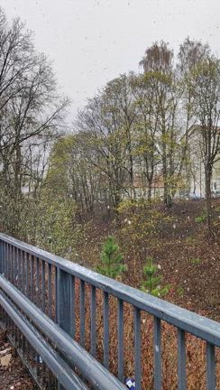 まさかの…の記事動画