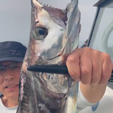 2026/04/02の記事動画