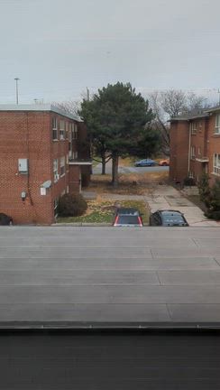 そうなんや？の記事動画