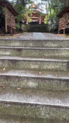 【能登】祭りは生命を活かすものの記事動画