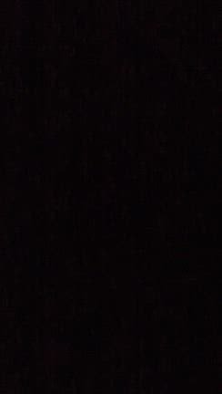 12月24日水曜日✨⭐️の記事動画