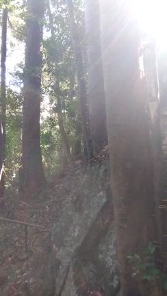 テレパシーて普通のことの記事動画