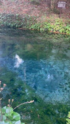 火と水の神が宿る阿蘇　女神パワーを体感する旅への記事動画