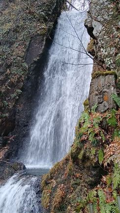『どんなこともタイミング(縁)』の記事動画