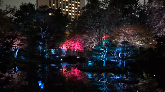 中島公園紅葉ライトアップ 〜さっぽろ秋さんぽ〜の記事動画