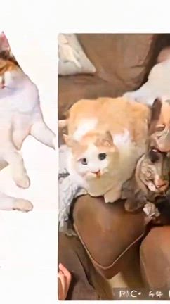 2026/02/18の記事動画