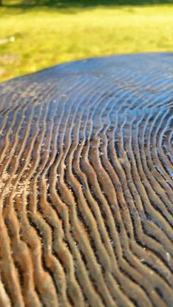 土用最終日、自分に時間を使いました〜の記事動画