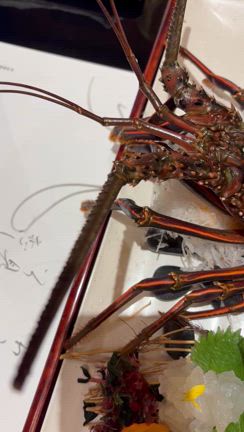 動いてましたの記事動画