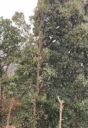 今日は大切な日の記事動画