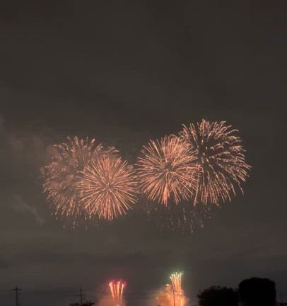 たーまや〜の記事動画