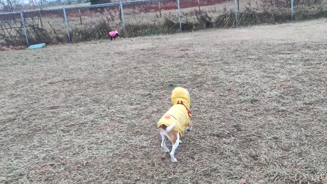 ワンズ、勘違いしてるよの記事動画