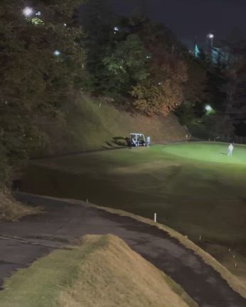 2024/11/19の記事動画