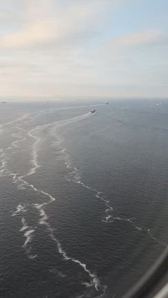 羽田空港　着陸・Ｄ滑走路の記事動画