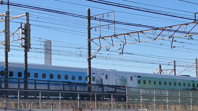 高校ラグビーの記事動画