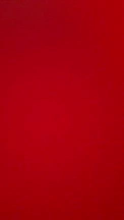 可愛い次女姪 と Straykids バズリズムと MV『Hollow』のお話の記事動画