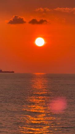 【日記】朝の太陽の記事動画