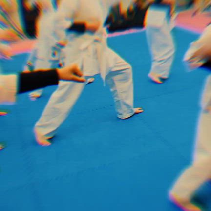 審査会と試合に向けての記事動画