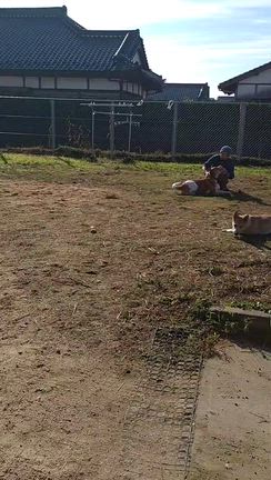 コアとボール遊びの記事動画