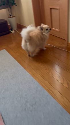 『愛されてるなぁ』の記事動画