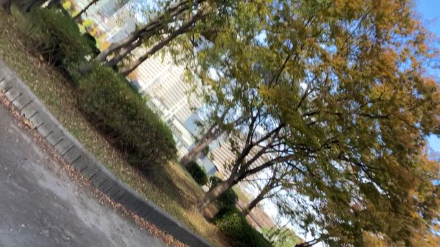 大阪でお泊り会の記事動画