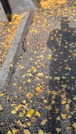 本日クルージング納めの記事動画