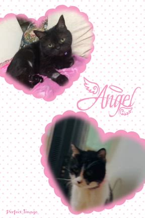 もう2年の記事動画