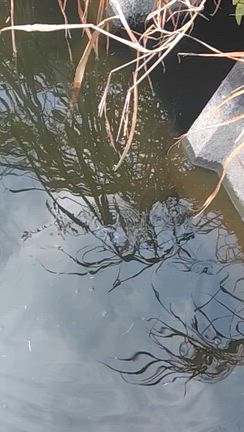 11月12日　午後半休での記事動画