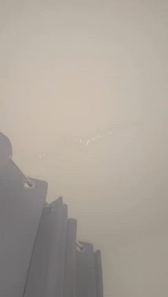 大きい木がぶっ倒れるくらいの台風が来ましたの記事動画