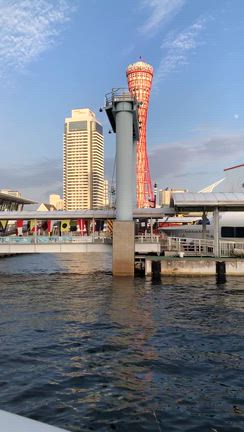 本日のヴィッセル神戸スポーツクラブ　空手少年部の記事動画