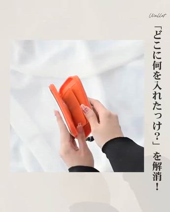 【12/2発売しまむら×MUMUコラボ新作】アレンジも楽しめて整理上手！お財布2型発売の記事動画