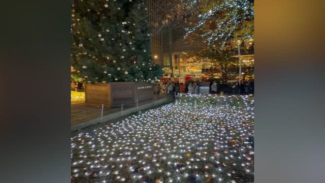 今年のイルミネーション第一弾☆東京ミッドタウンの記事動画