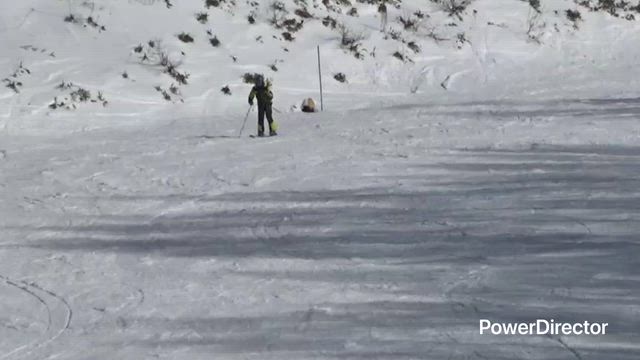 乗っているだけ〜（謎）の記事動画