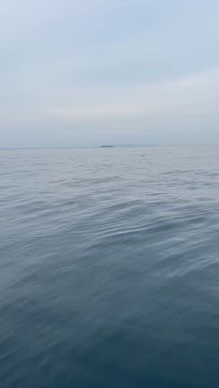 ライトプラッキングゲーム＆フライフィッシングpart2の記事動画