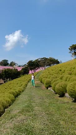 膝が内側に入る「ニーイン」〜太ももの張り＆痛みとの関係と予防の記事動画